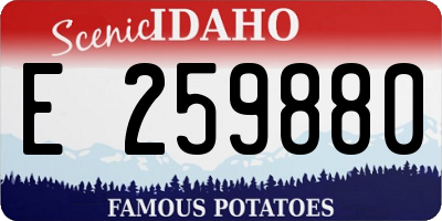 ID license plate E259880