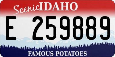ID license plate E259889