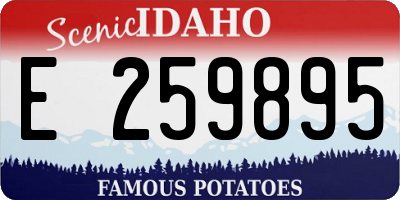 ID license plate E259895