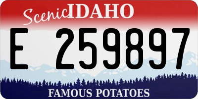 ID license plate E259897