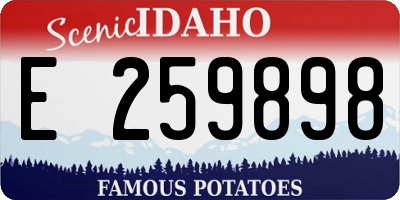 ID license plate E259898