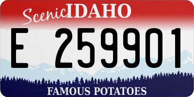 ID license plate E259901