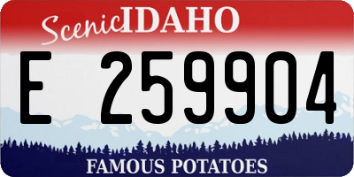 ID license plate E259904