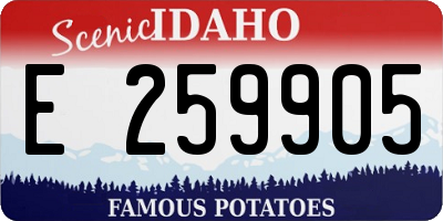 ID license plate E259905