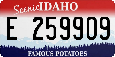 ID license plate E259909
