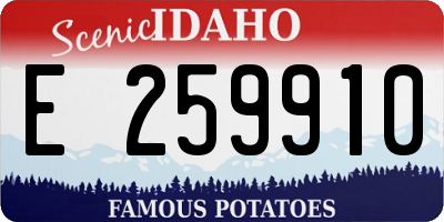 ID license plate E259910