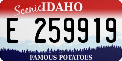ID license plate E259919