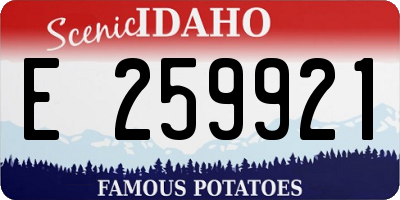 ID license plate E259921
