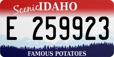 ID license plate E259923