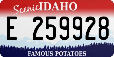 ID license plate E259928