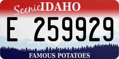 ID license plate E259929