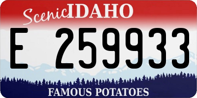 ID license plate E259933