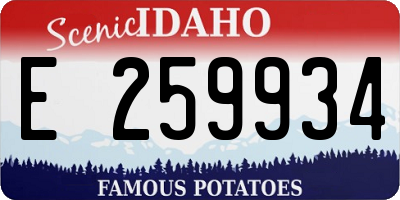 ID license plate E259934