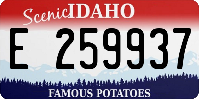 ID license plate E259937