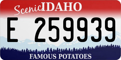 ID license plate E259939
