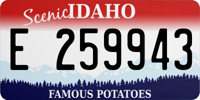 ID license plate E259943