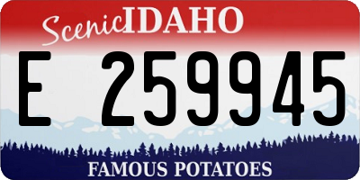 ID license plate E259945