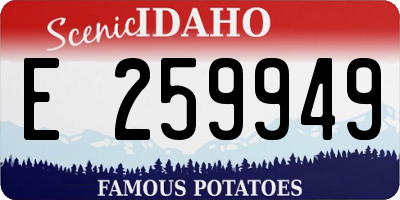ID license plate E259949