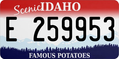 ID license plate E259953