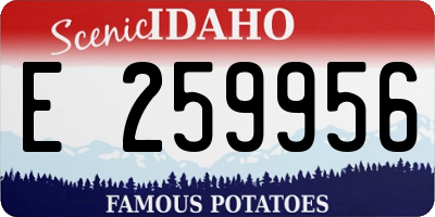 ID license plate E259956