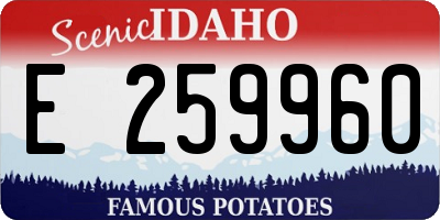 ID license plate E259960