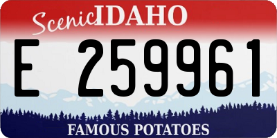 ID license plate E259961