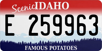 ID license plate E259963