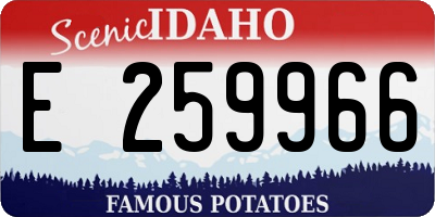 ID license plate E259966