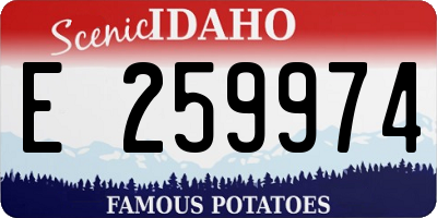 ID license plate E259974
