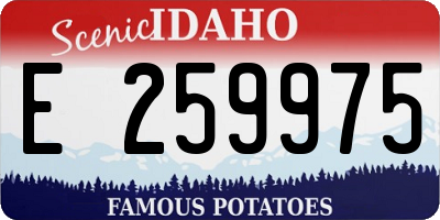 ID license plate E259975