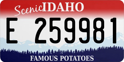 ID license plate E259981