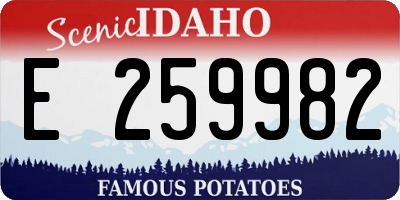 ID license plate E259982