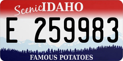 ID license plate E259983