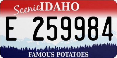 ID license plate E259984
