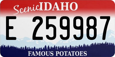 ID license plate E259987