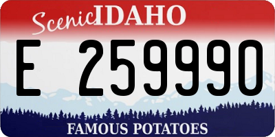ID license plate E259990