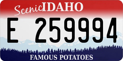 ID license plate E259994