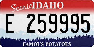 ID license plate E259995
