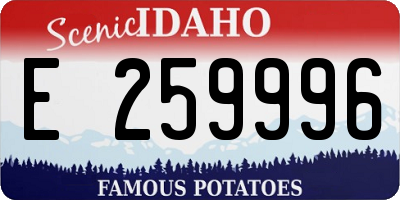 ID license plate E259996