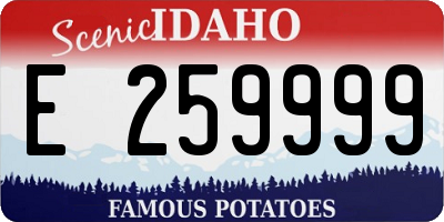 ID license plate E259999