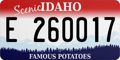 ID license plate E260017