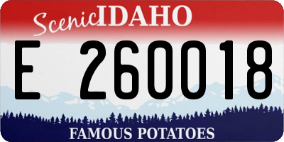 ID license plate E260018