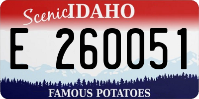 ID license plate E260051
