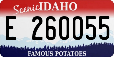 ID license plate E260055