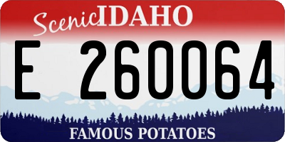 ID license plate E260064