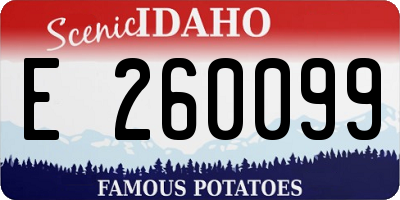 ID license plate E260099