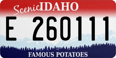 ID license plate E260111