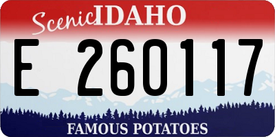 ID license plate E260117