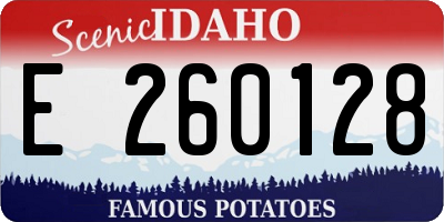 ID license plate E260128