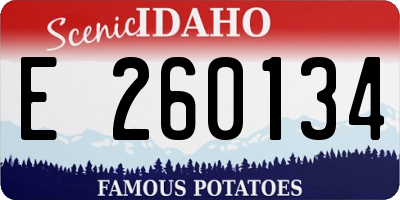 ID license plate E260134